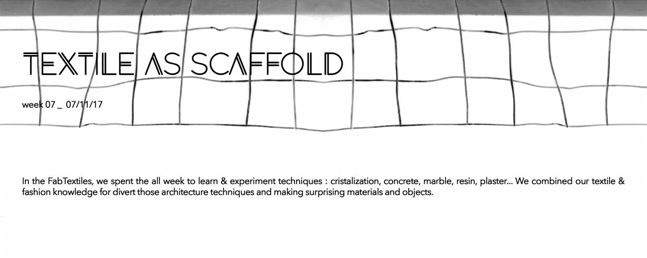 1_textile_as_scaffold_into_1.jpg