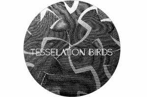 tesselation_birds_bouton.jpg