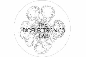 the_bioelectronics_lab.jpg