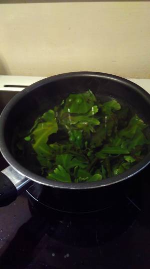 seaweed-cook.jpg