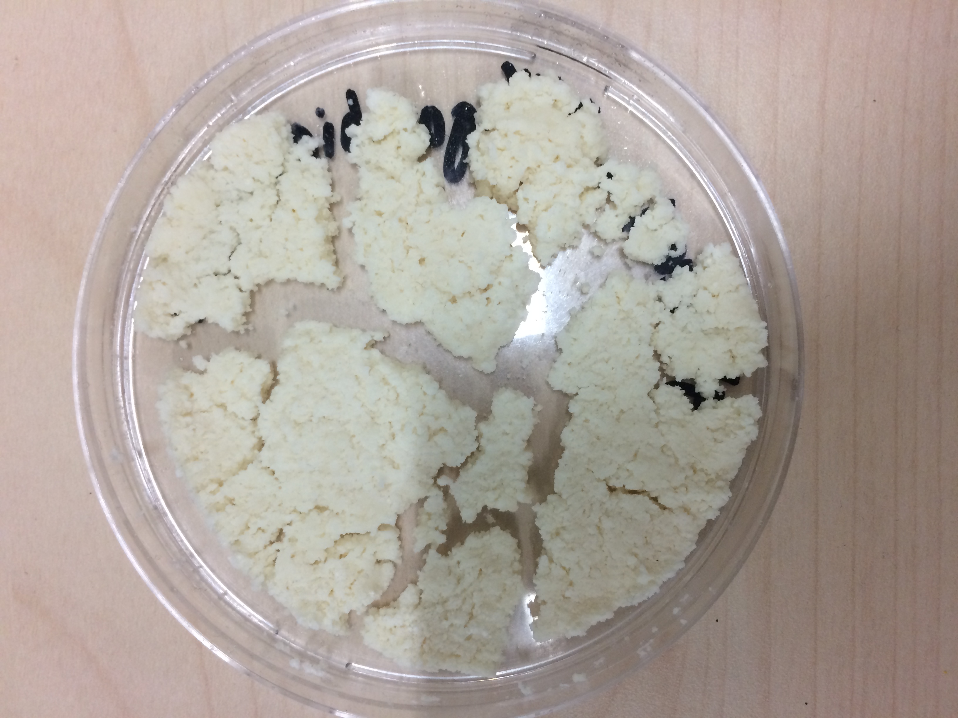 glycerol_biopolymer.jpg glycerol_biopolymer.jpg