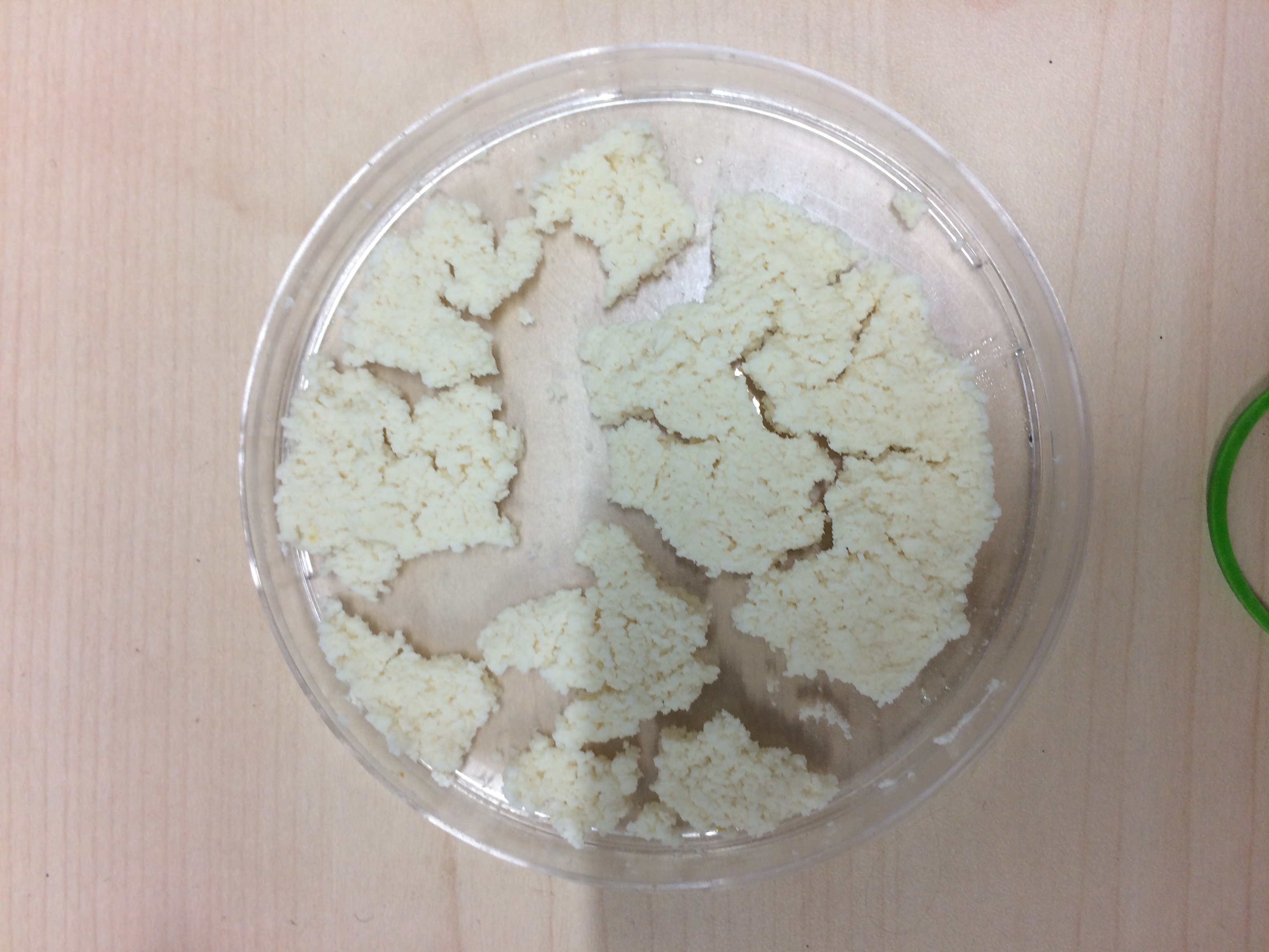 control_biopolymer.jpg control_biopolymer.jpg