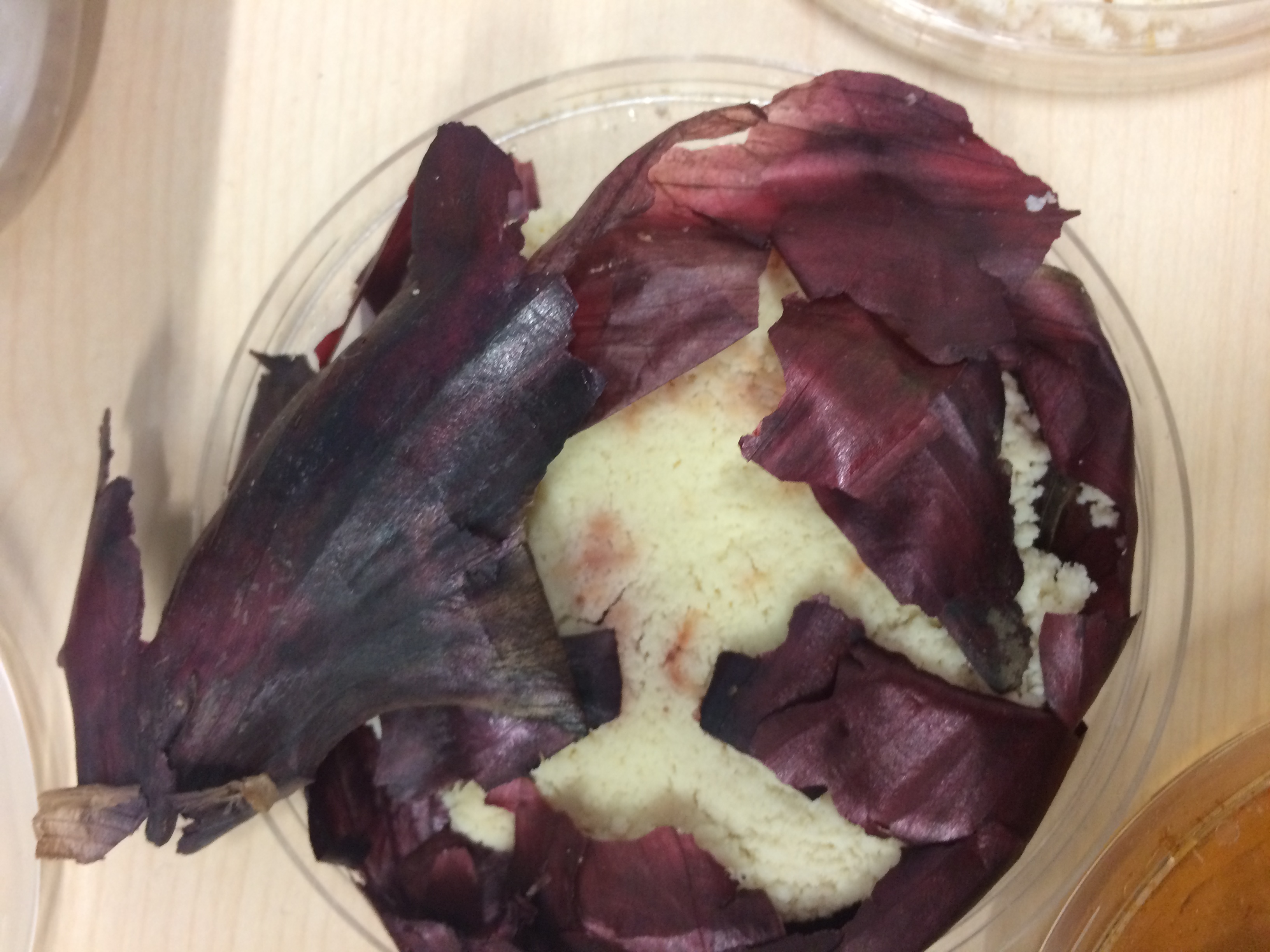 onion_peel_biopolymer.jpg onion_peel_biopolymer.jpg